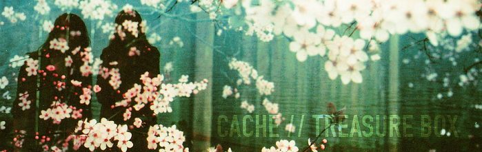 Cachebanner.png